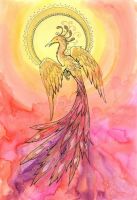 Sunset Phoenix